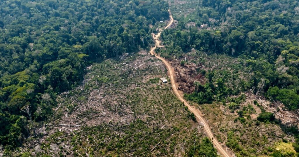 Fiscalização ambiental identifica desmatamento e uso ilegal do fogo em seis municípios do Amazonas