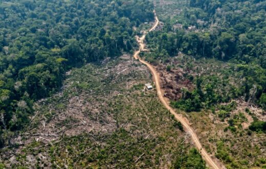 Fiscalização ambiental identifica desmatamento e uso ilegal do fogo em seis municípios do Amazonas